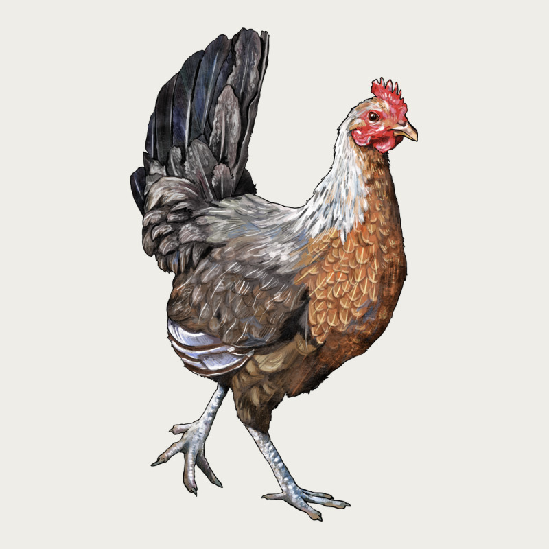 American Game Chicken Zipper Hoodie by LillyAllenDesigns | Teevron