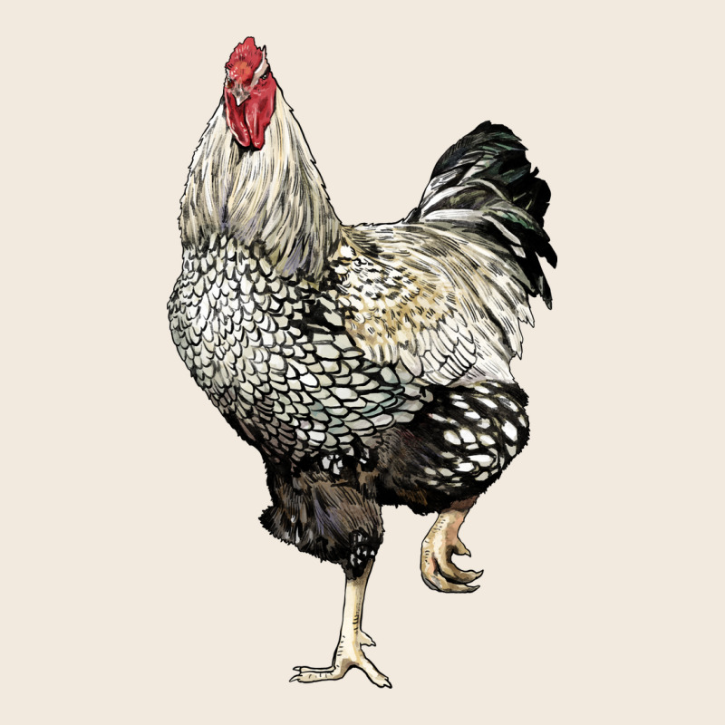 Wyandotte Rooster Zipper Hoodie by LillyAllenDesigns | Teevron