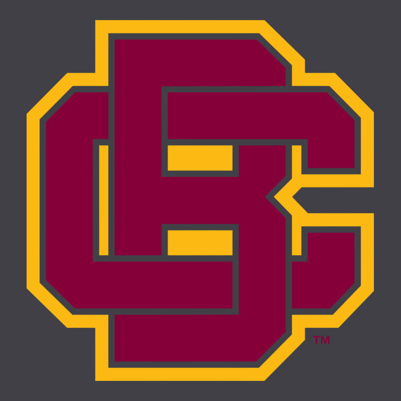 Bethune Cookman Heavyweight Hoodie by DesignPulse | Teevron