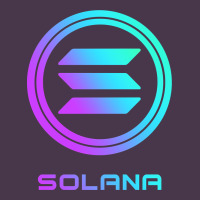 Solana Crypto Sol Coin Blockchain Decentralized Application Long Sleev Heavyweight Hoodie | Teevron