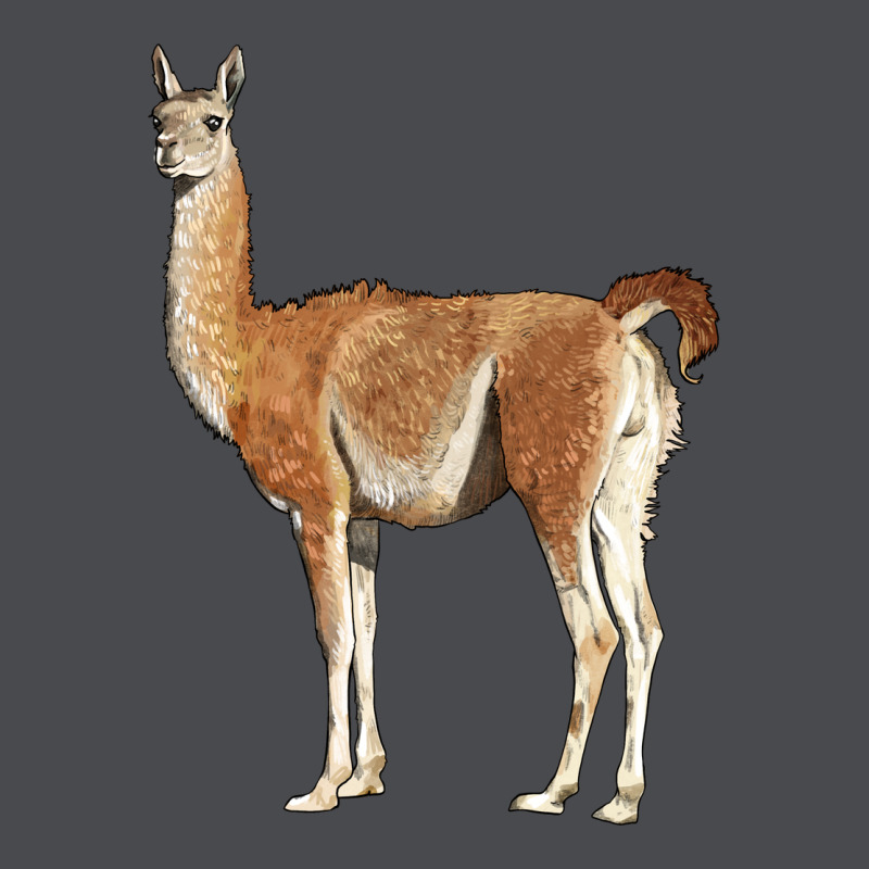 Guanaco Llama Zipper Hoodie by LillyAllenDesigns | Teevron