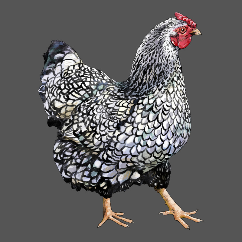 Wyandotte Chicken Zipper Hoodie by LillyAllenDesigns | Teevron