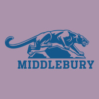 Middlebury Panthers Heavyweight Hoodie | Teevron