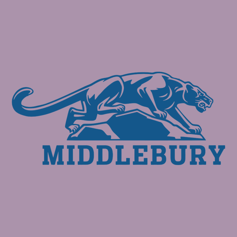 Middlebury Panthers Heavyweight Hoodie by Craftify | Teevron