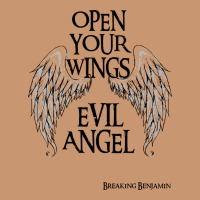 Breaking Benjamin Heavyweight Hoodie | Teevron