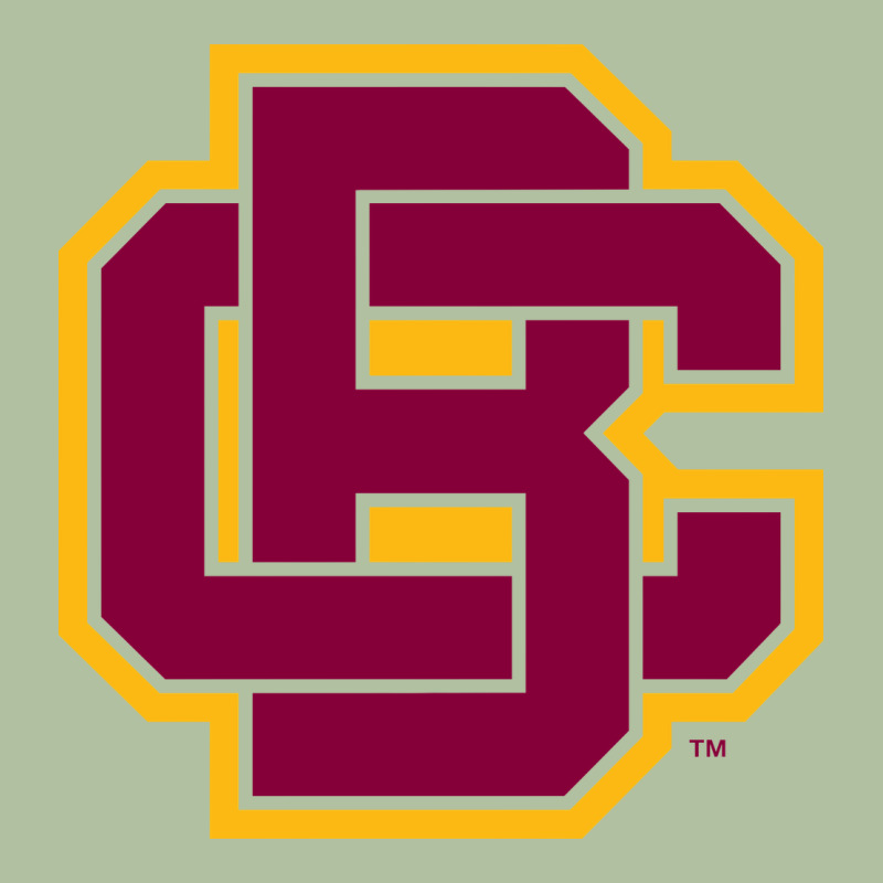 Bethune Cookman Urban Hoodie by DesignPulse | Teevron