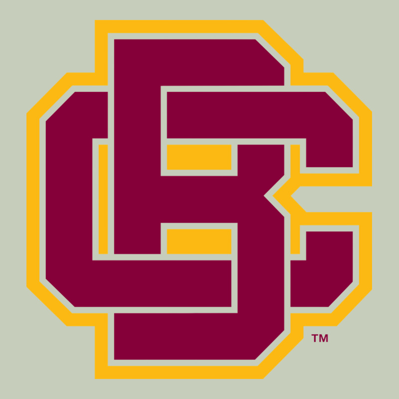 Bethune Cookman Ladies Tee by DesignPulse | Teevron