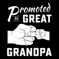 Promoted To Great Grandpa Ladies Tee | Teevron