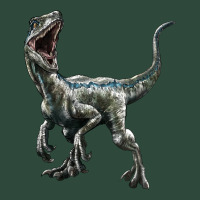 Velociraptor Zipper Hoodie | Teevron