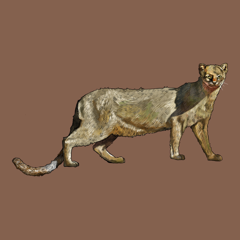 Jaguarundi Zipper Hoodie by LillyAllenDesigns | Teevron