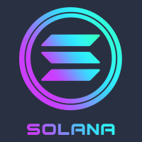 Solana Crypto Sol Coin Blockchain Decentralized Application Long Sleev Heavyweight Sweatshirt | Teevron