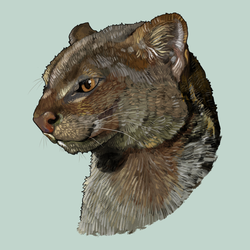 Jaguarundi Head Zipper Hoodie by LillyAllenDesigns | Teevron