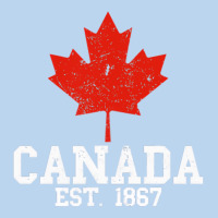 Vintage Canada Est.1867 Maple Leaf Canadian Flag R Classic Tee | Teevron