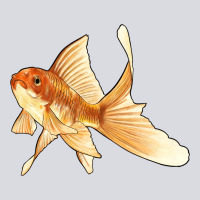 Goldfish Zipper Hoodie | Teevron