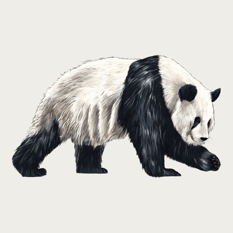 Walking Panda Zipper Hoodie by LillyAllenDesigns | Teevron