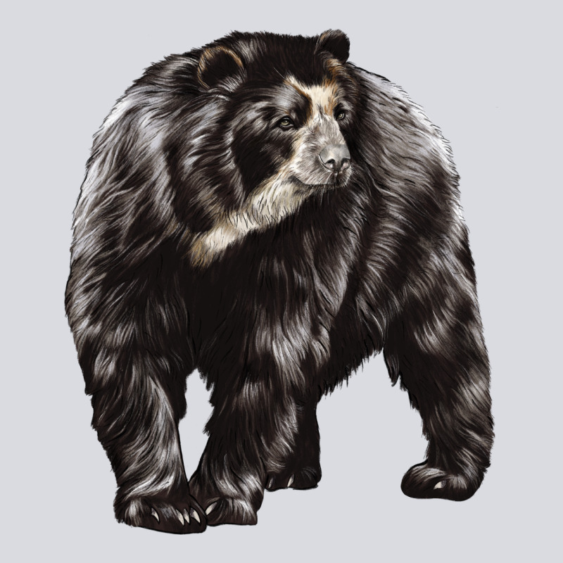 Spectacled Bear Zipper Hoodie by LillyAllenDesigns | Teevron