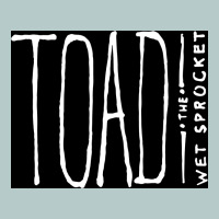 Toad The Wet Sprocket Heavy Core Tee | Teevron