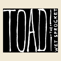 Toad The Wet Sprocket Premium Tee | Teevron