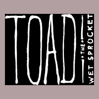 Toad The Wet Sprocket Vintage Hoodie | Teevron