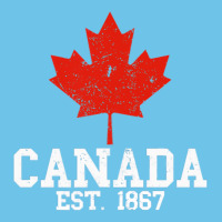 Vintage Canada Est.1867 Maple Leaf Canadian Flag R Premium Sweatshirt | Teevron