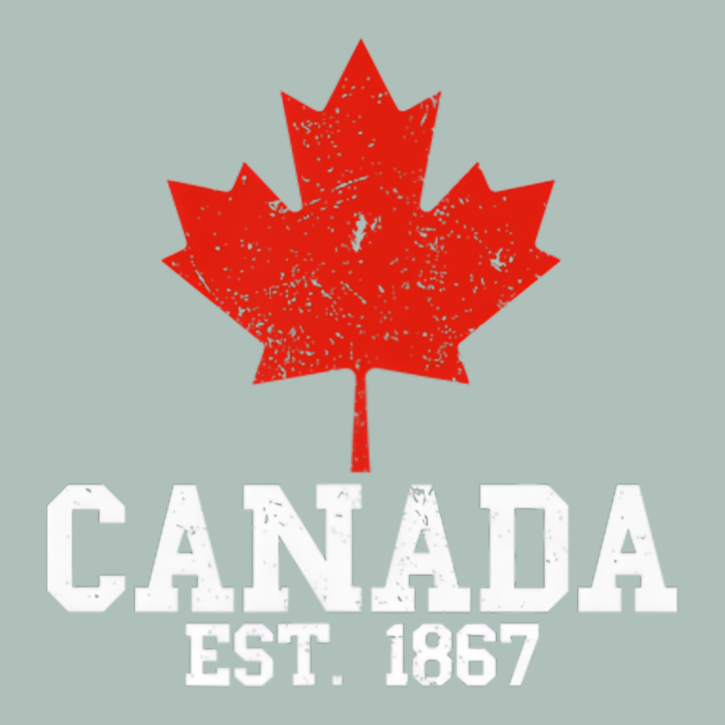 Vintage Canada Est.1867 Maple Leaf Canadian Flag R Heavyweight Hoodie by ArtChic | Teevron