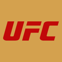 ⭐ Ufc'championship ⭐collections⭐ Design Urban Hoodie | Teevron