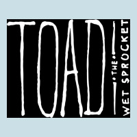 Toad The Wet Sprocket Ladies Tee | Teevron