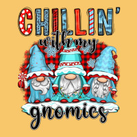 Chillin With My Gnomies Vintage Hoodie | Teevron