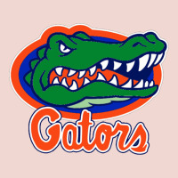 Florida Gators Premium Sweatshirt | Teevron