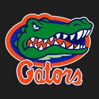Florida Gators Heavyweight Hoodie | Teevron
