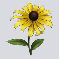 Black Eyed Susan Flower Illustrations Zipper Hoodie | Teevron