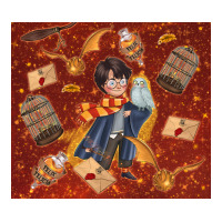 wizard boy with magic items | Teevron