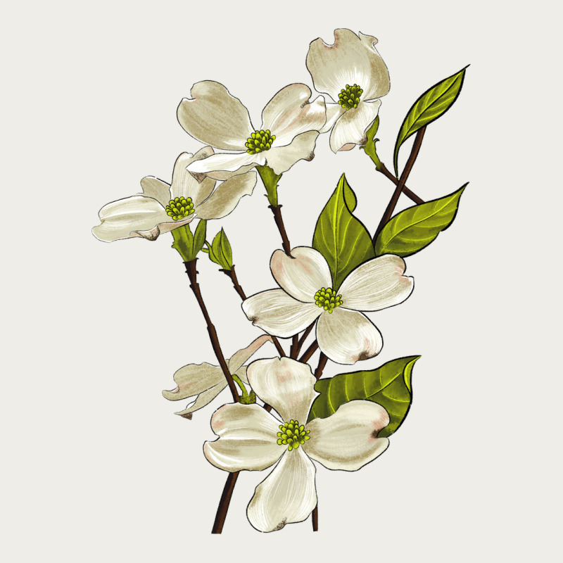 American Dogwood Flower Illustrations Zipper Hoodie by LillyAllenDesigns | Teevron