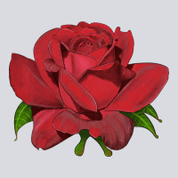 Oklahoma Rose Illustrations Zipper Hoodie | Teevron