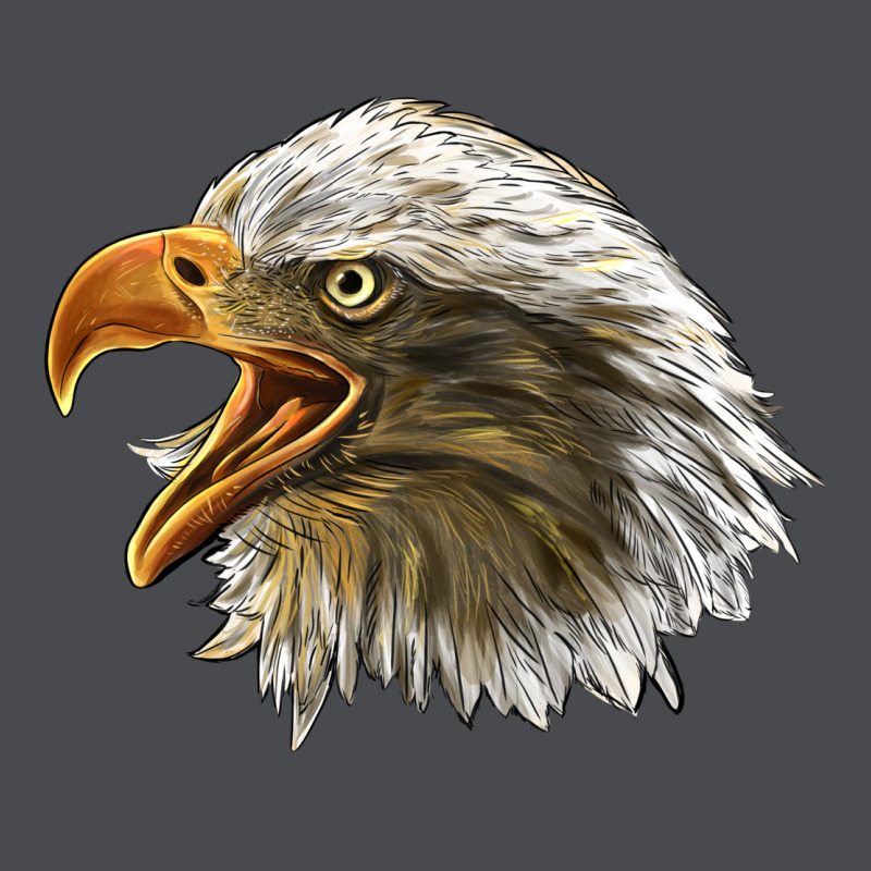 Bald Head Eagle Zipper Hoodie by LillyAllenDesigns | Teevron