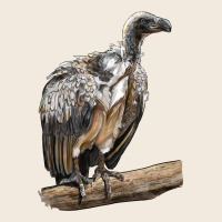 Vulture Bird Zipper Hoodie | Teevron
