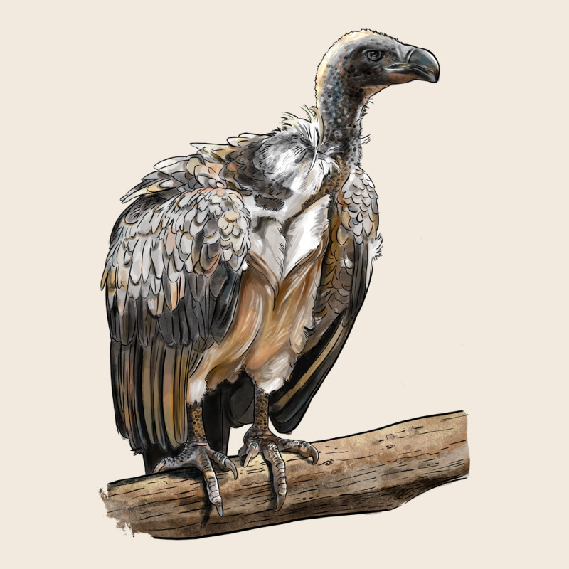 Vulture Bird Zipper Hoodie by LillyAllenDesigns | Teevron