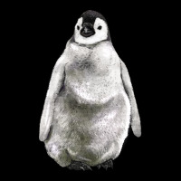 Baby Penguin Zipper Hoodie | Teevron