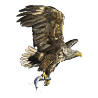 American White Sea Eagle Zipper Hoodie | Teevron