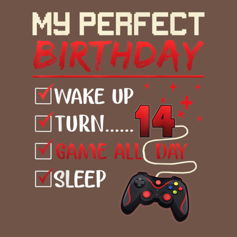 14 Year Old Gamer Gift Boy Teen 14th Perfect Birthday Gaming Premium Sweatshirt by trangStudio | Teevron