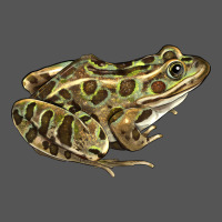 Northern Leopard Frog Zipper Hoodie | Teevron