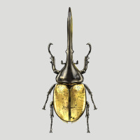 Hercules Beetle Zipper Hoodie | Teevron