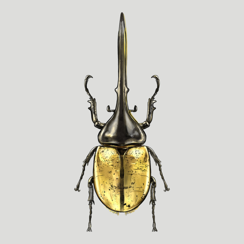 Hercules Beetle Zipper Hoodie by LillyAllenDesigns | Teevron