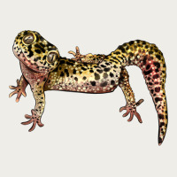 Gecko Lizard Illustrations Zipper Hoodie | Teevron