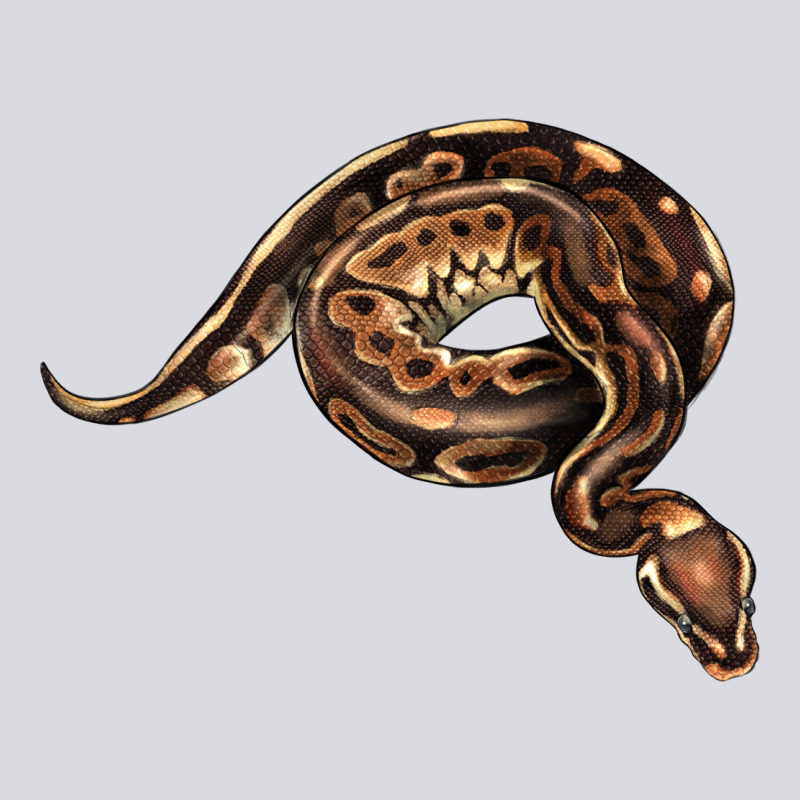 Royal Ball Python Illustrations Zipper Hoodie by LillyAllenDesigns | Teevron