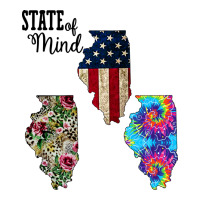 Im In A Fishing State Of Mind Illinois Premium Tee | Teevron