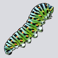 Papilio Machaon Caterpillar Zipper Hoodie | Teevron