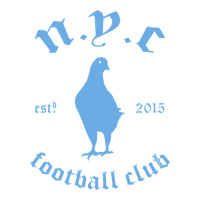 New York City Pigeons Classic gift | Teevron