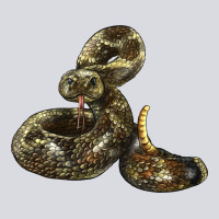 Rattlesnake Zipper Hoodie | Teevron