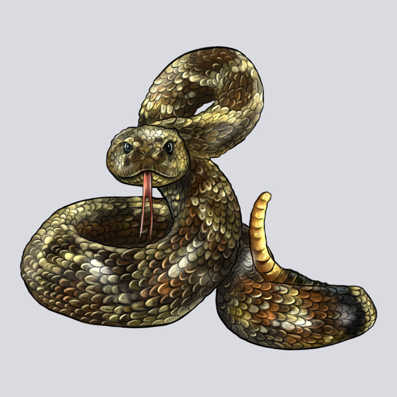 Rattlesnake Zipper Hoodie by LillyAllenDesigns | Teevron